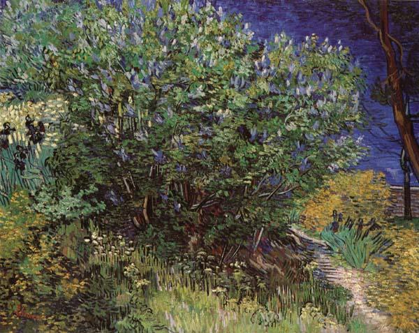Vincent Van Gogh Bushes Germany oil painting art